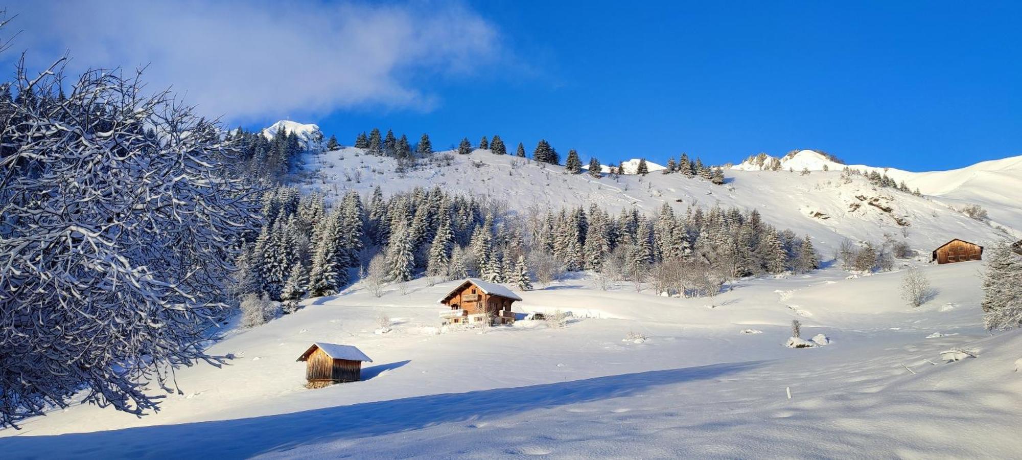 Le Taconet Ξενοδοχείο Le Praz de Lys Εξωτερικό φωτογραφία