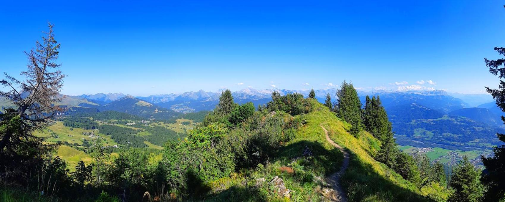 Le Taconet Ξενοδοχείο Le Praz de Lys Εξωτερικό φωτογραφία